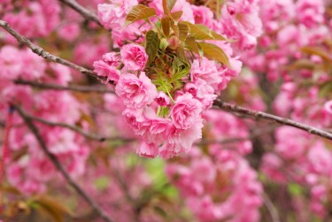 徐州丰县线下个人借款平台一站式服务，轻松解决资金难题