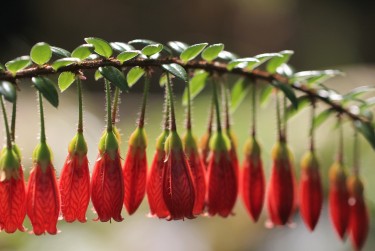徐州丰县零用贷短借：轻松解决临时资金需求