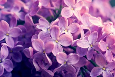 徐州丰县企业急用钱贷款攻略：快速融资解燃眉之急